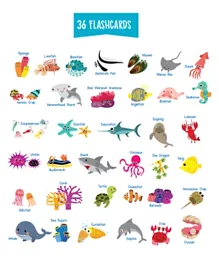 Twinkle Hands Discover the Ocean Flashcards - Pack of 36