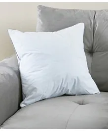 HomeBox Luxury Down Alternative Filled Cushion - 40x40 cms