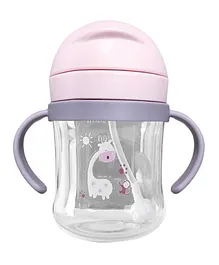 Miracle Kids Water Bottle - 250 ml