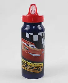 Cars Release The Storm Stainless Steel Water Bottle - 500mL