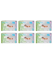 PureBorn Nappies Pack of 6 New Born - 204 Pieces