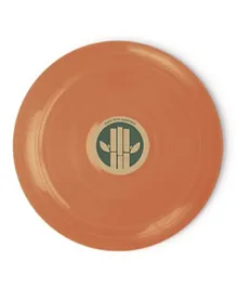Dantoy Bio-plastic Frisbee