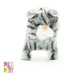 PUGS AT PLAY Meow Buddies Zoe Plush Toy - 16.5 cm