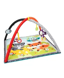 Infantino Pond Pals Activity Play Gym With Mat - Green