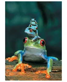 Eurographics Red Eyed Tree Frog Multicolour - 1000 Pieces