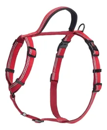 حزام السير للكلاب من كومباني أوف أنيملز هالتي - متوسط الحجم - أحمر