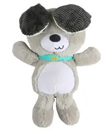 Bright Starts Belly Laughs Puppy Plush Toy - Grey