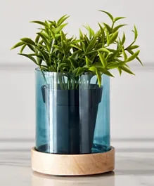 HomeBox Splendid Wooden Planter with Printed Glass