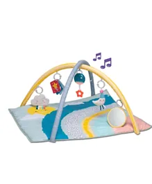Taf Toys Music & Light Padded Magical Mini Moon Gym - Multicolor