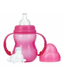 Nuby Training Bottle with Non Drip Nipple and No Spill Spout - 240 ml