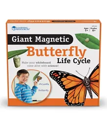 Learning Resources Giant Magnetic Butterfly Life Cycle - LER6043