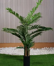 PAN Home Kentia Palm Tree Green - 120cm