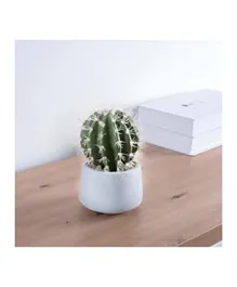 PAN Home Mini Artificial Cactus Plant - Green