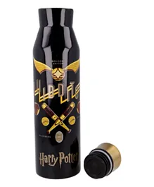 Stor Harry Potter Young Adult DW Stainless Steel Diabolo Bottle - 580 mL