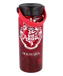 Stor Harry Potter Young Adult Stainless Steel Hydro Bottle - 530ml