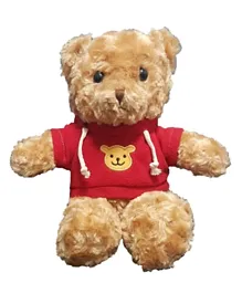 Gifted Teddy Bear Aamir - 16 Inch