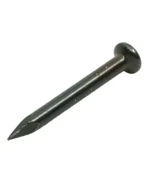 Homesmiths Concrete Black Nails - 1 Inch