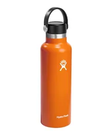 Hydroflask Standard Mouth Vacuum Water Bottle Mesa - 621mL