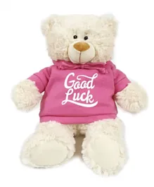 Fay Lawson Cream Bear with Good Luck Print on Pink Hoodie - 38cm