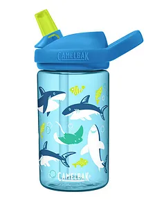 BOZ Kids Water Bottle for School with Straw Lid, Stainless Steel, 14 oz  (414ml) (Mermaid) 