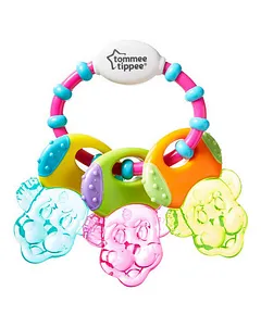 tommee tippee teething dummy