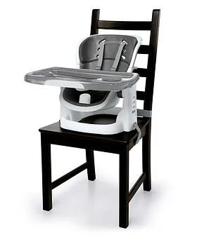 Ingenuity hot sale feeding seat