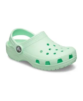 the shoe crocs