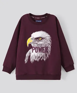 Pine Kids Full Sleeves Biowash Sweatshirt Eagle Printed - Winter Bloom