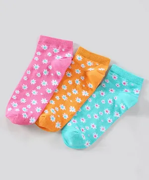 Pine Kids Ankle Length Non-Terry Anti-Microbial Socks Pack of 3 - Assorted
