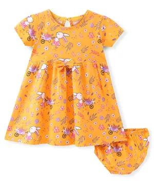 Babyhug Cotton Jersey Knit Half Sleeves Frock With Bloomer Floral Print - Orange