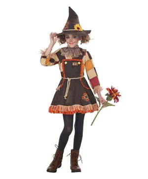 California Costumes Patchwork Scarecrow Costume - Brown