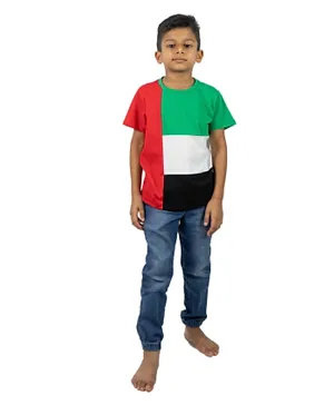 DDaniela UAE National Flag T-shirt - Multicolor