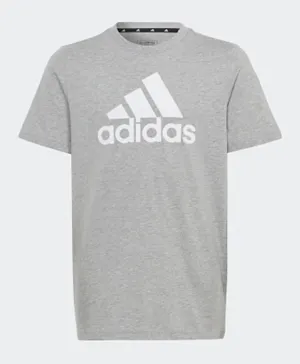 adidas Essentials Big Logo Cotton T-Shirt - Grey