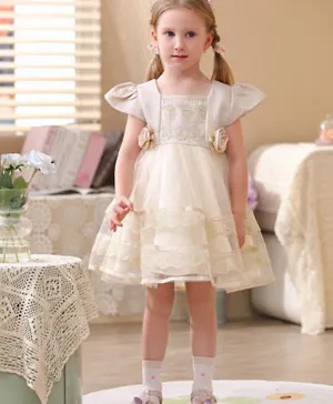 Smart Baby Flower Applique & Embroidered Tulle Party Dress - Off White