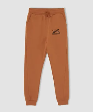 DeFacto Trousers - Brown