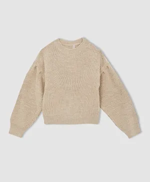 DeFacto Round Neck Sweater - Beige