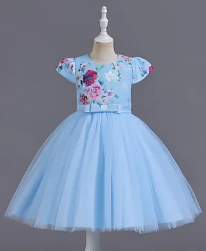 DDaniela Floral Tutu Dress - Blue