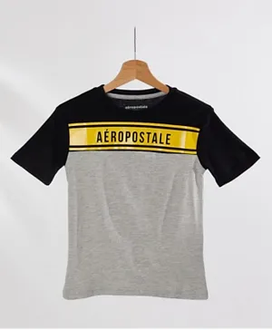 Aeropostale Colorblock Sueded Jersey T-Shirt - Grey