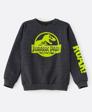Universal Jurrasic Park Sweatshirt - Charcoal