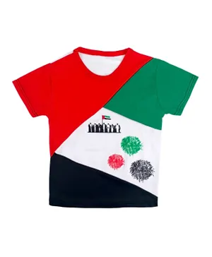 Party Magic UAE Flag T-Shirt - Multicolor