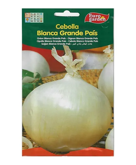 Euro Garden Onion White