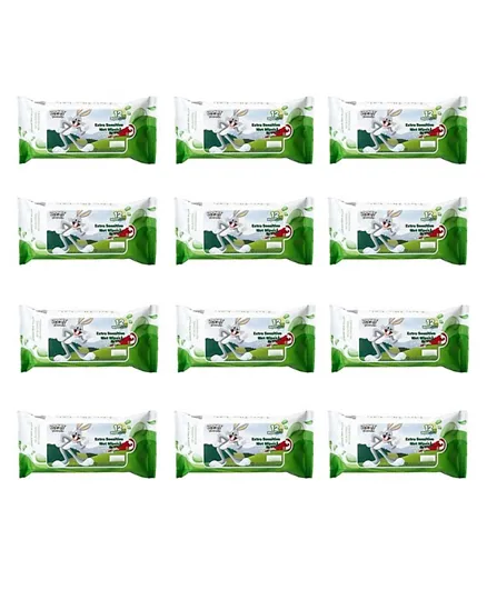 عبوة مناديل مبللة من وارنر بروس لوني تونز فائقة الحساسية من 12 قطع خضراء - 144 مناديل مبللة