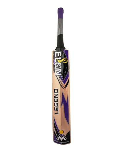 MS Kashmir Willow Legend Cricket Bat - Multicolor