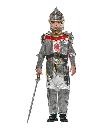 SAPS Dragon Slayer Costume - Silver