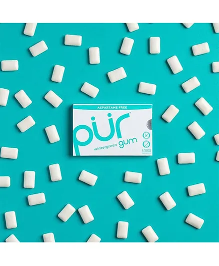 Pur Gum Aspartame Free Wintergreen Gum - 9 Pieces