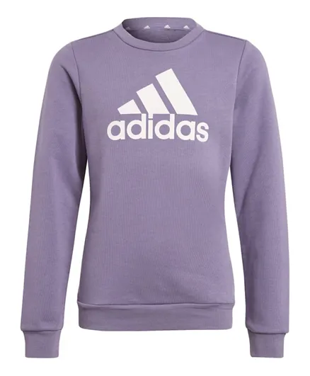 adidas Essentials Big Logo Sweatshirt - Purple
