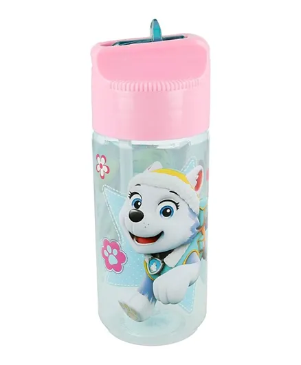 Disney Paw Patrol Girl Small Hydro Water Bottle Pink - 430mL