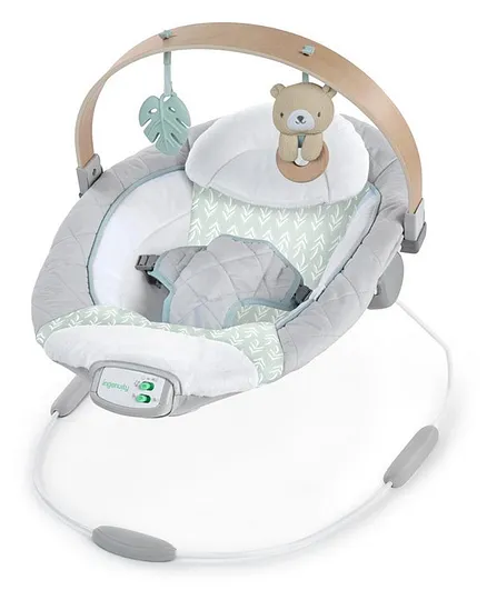 Baby Bouncers Battery Operated 3 6 Months Bouncers Rockers Swings Online Buy Baby Kids Products at FirstCry.ae