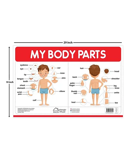 جدارية أجزاء جسمي باللغة الإنجليزية