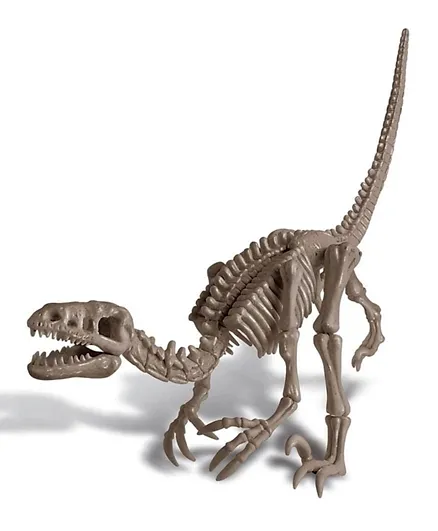 4M Kidz Labs Velociraptor Skeleton Excavation Dragon Robot Toy -